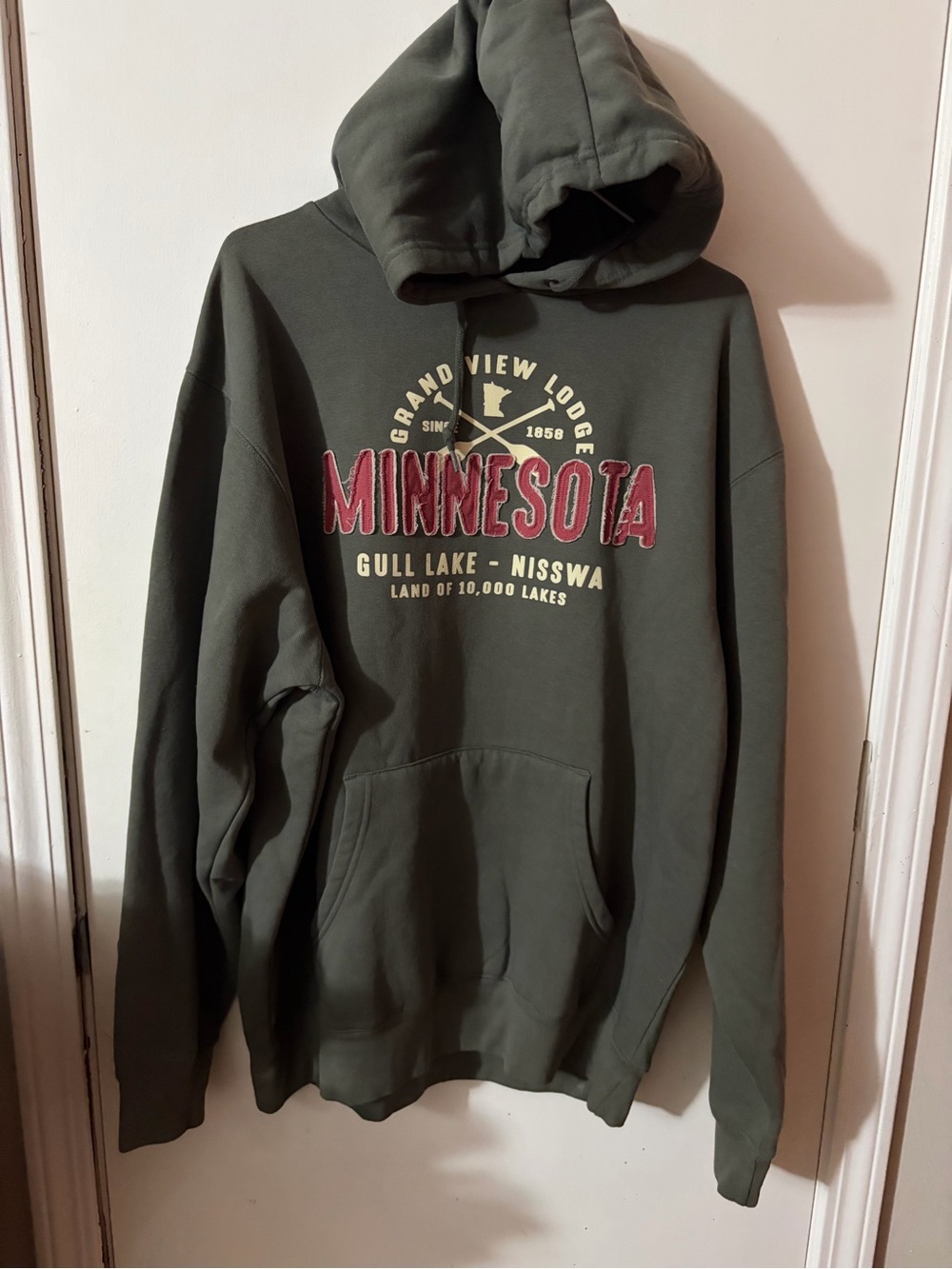 NWOT Adult Blue 84 Large Grand View Lodge Minnesota Hoodie In Green Tote14